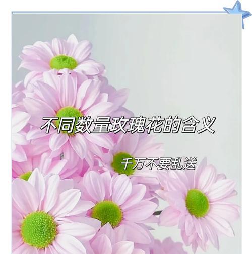 女生送男生玫瑰花代表什么含义？