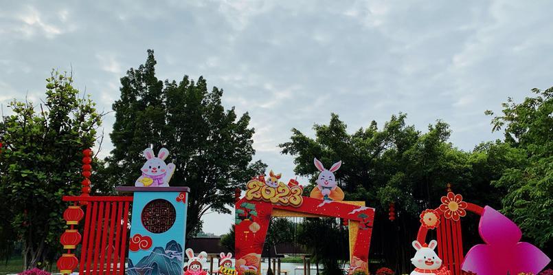 江门市花是什么？江门市花有哪些特点？