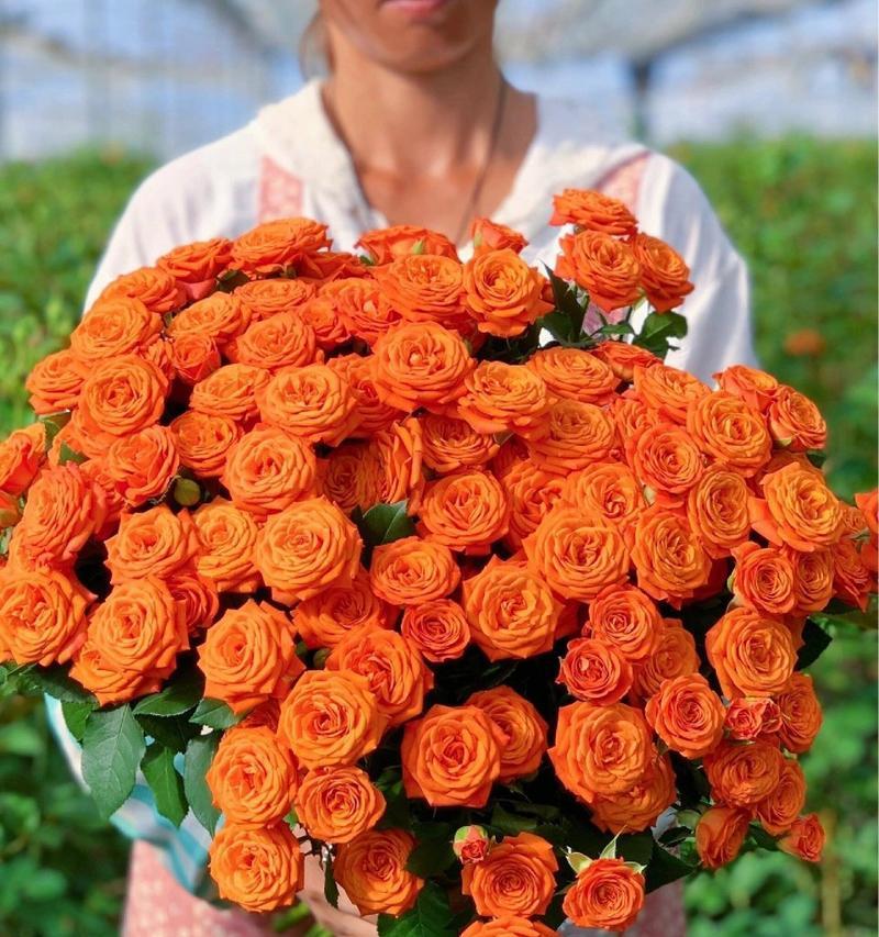 香槟橙色花的花语寓意是什么？