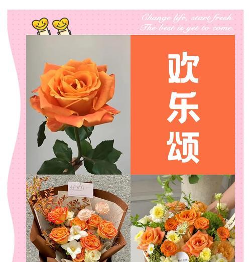 香槟橙色花的花语寓意是什么？