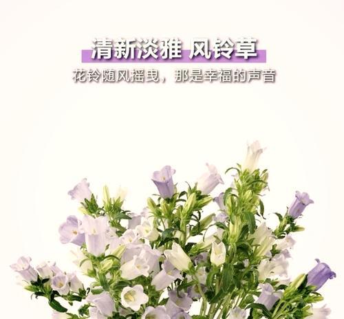 道具风中摇曳的花语有何特殊含义？它代表了什么？