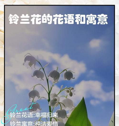 复制春天的花语有何含义？春天的花语代表了什么？