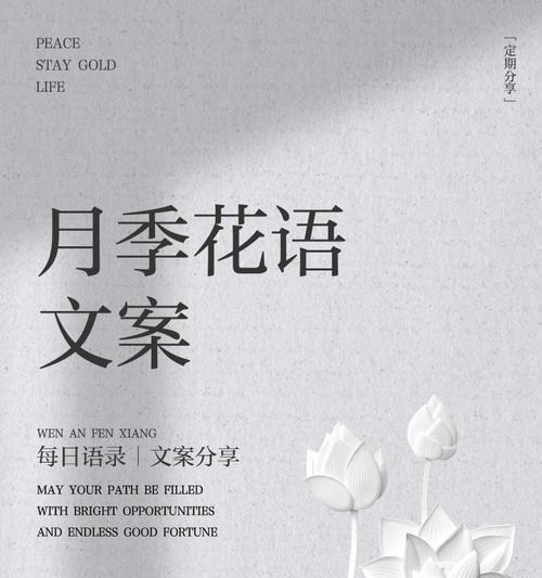 月季花语的起源是什么？它代表了哪些传统意义？