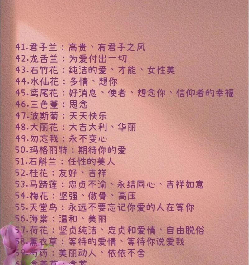 你能识别这种花并告诉我它的花语吗？