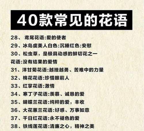 什么花名字好听的花语是死亡？这种花的名字和花语有何关联？