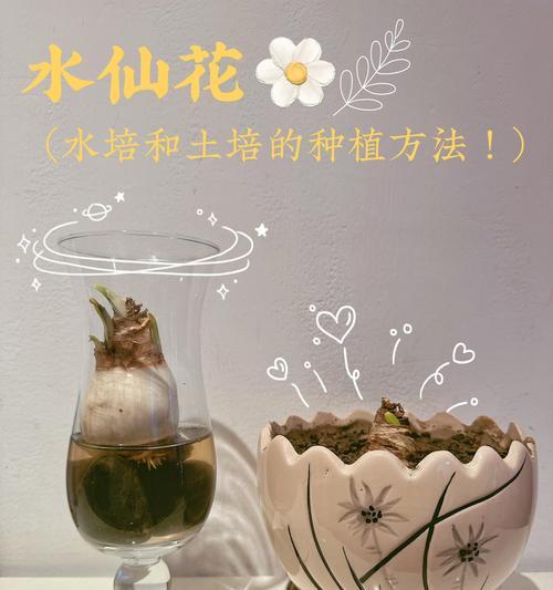 水仙花语的含义是什么？水仙象征着什么？