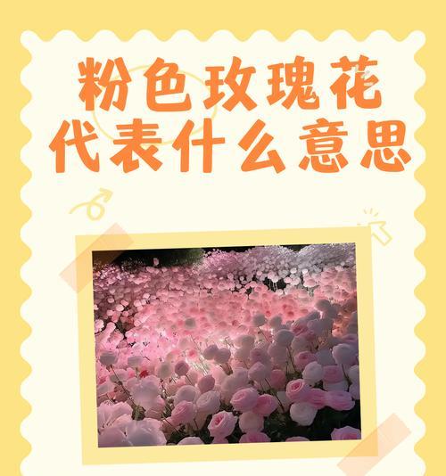 两束单支玫瑰花的含义是什么？