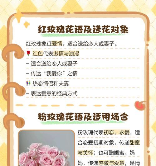 哪种玫瑰代表永恒不散的花语？