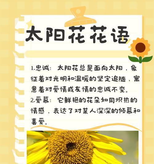 花朵名称和寓意有哪些？它们的花语是什么？