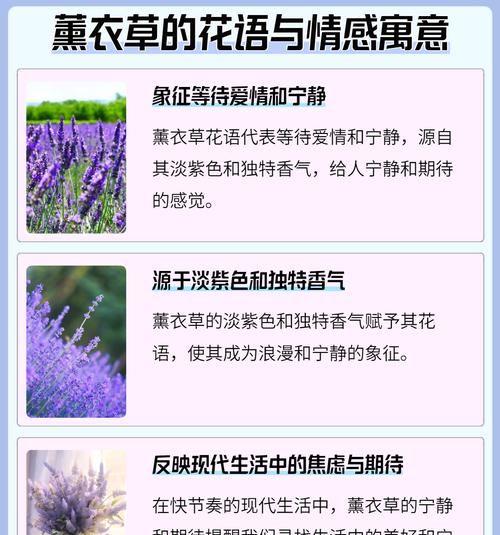 花朵名称和寓意有哪些？它们的花语是什么？