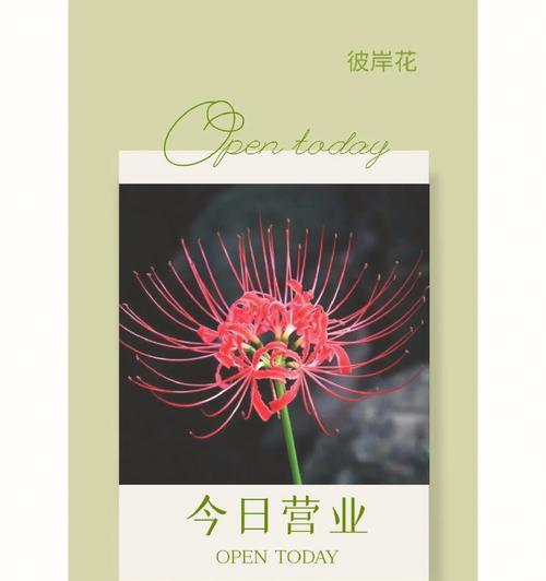 彼岸花代表了什么寓意？