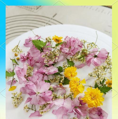 重复生活的花语代表什么？