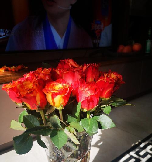 赞美虎妞的花语是什么？它代表了什么样的含义？