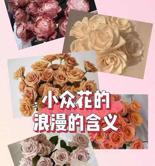 哪些小众花语既常见又浪漫？