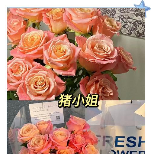 哪些小众花语既常见又浪漫？