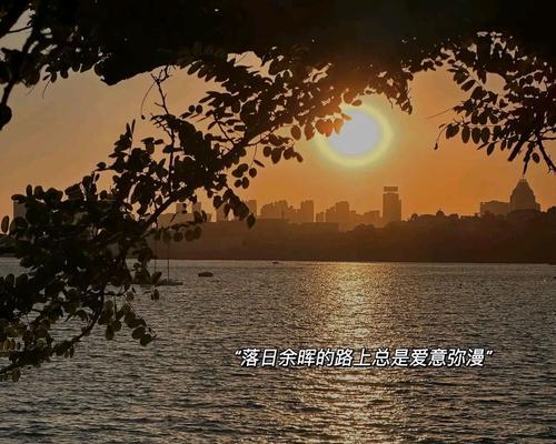 爱意弥漫的花语是什么意思？爱意弥漫的花语有哪些？