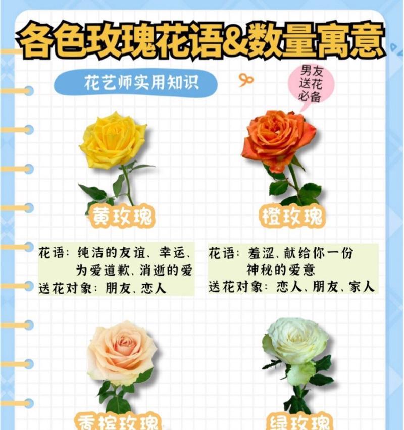送花给逝去朋友的花语是什么？哪种花代表哀悼？