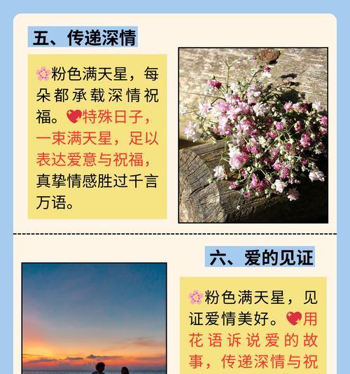 唯一爱情的花语代表什么含义？