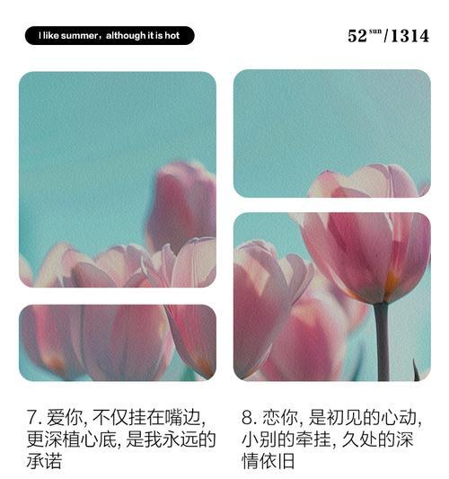 唯一爱情的花语代表什么含义？