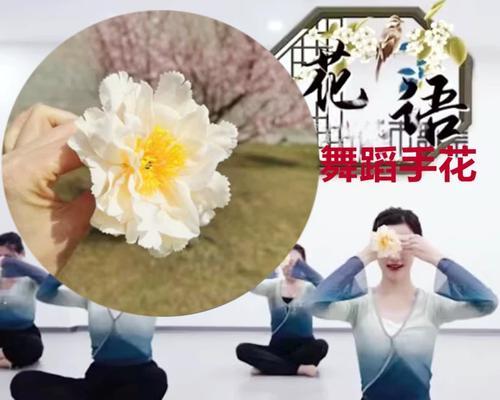 道具花语的含义是什么？