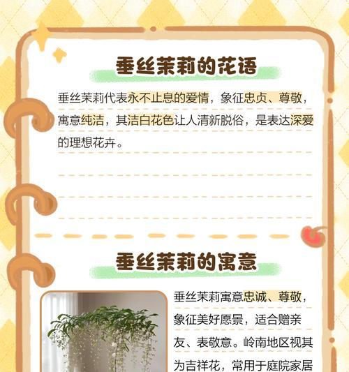 花语绵绵的含义是什么？花语绵绵代表什么？