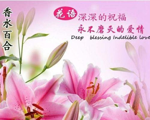 打疫苗的花语有何含义？打疫苗的花语代表什么？