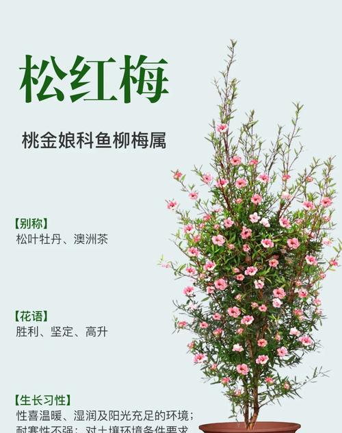 孤僻阴冷的花语有何含义？寻找代表孤独的花卉？