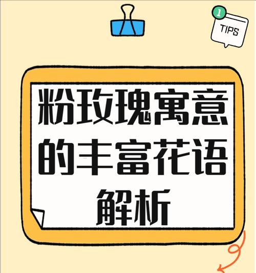 情不知所起的花语含义是什么？哪种花代表这种情感？