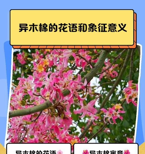 另一种意义的花语有何特别之处？花语中隐藏了哪些深意？