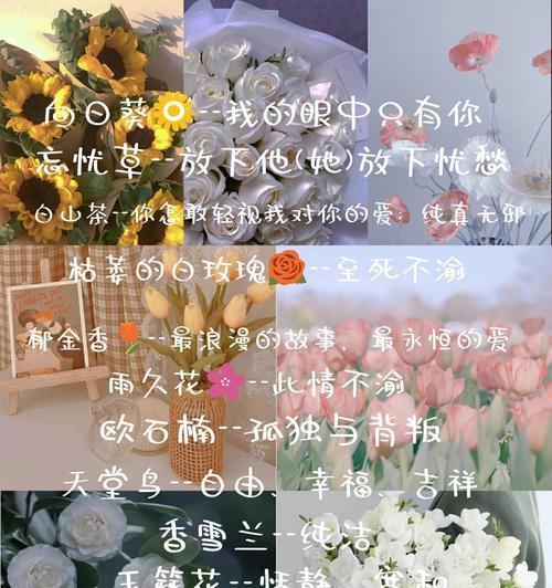 另一种意义的花语有何特别之处？花语中隐藏了哪些深意？