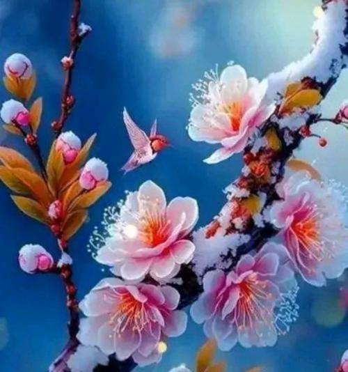 寒梅的花语代表什么含义？
