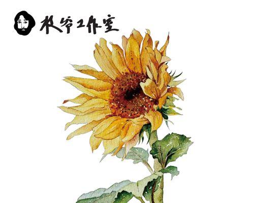 防水广告中花语的含义是什么？