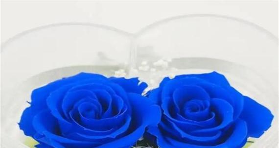 男士收到鲜花时的爱情花语是什么？它代表了什么？