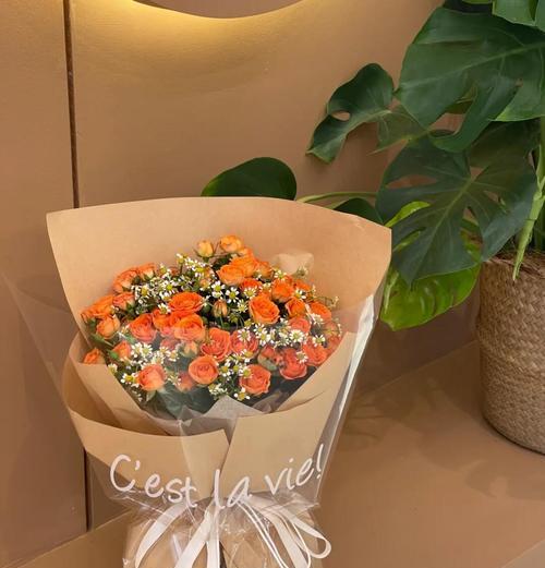 香槟玫瑰与橙芭比玫瑰的花语有何不同？