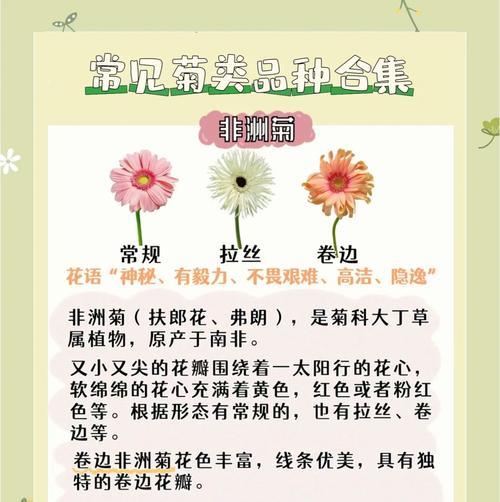隐逸的爱花语是什么花？这种花语表达了怎样的爱情观？