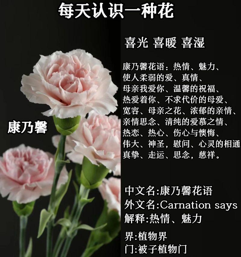 表白时哪种鲜花搭配的花语最动人？