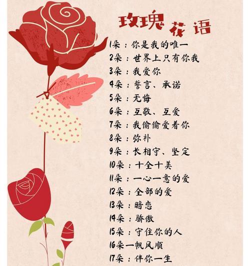 七朵玫瑰花有何特殊含义？玫瑰花语代表什么？