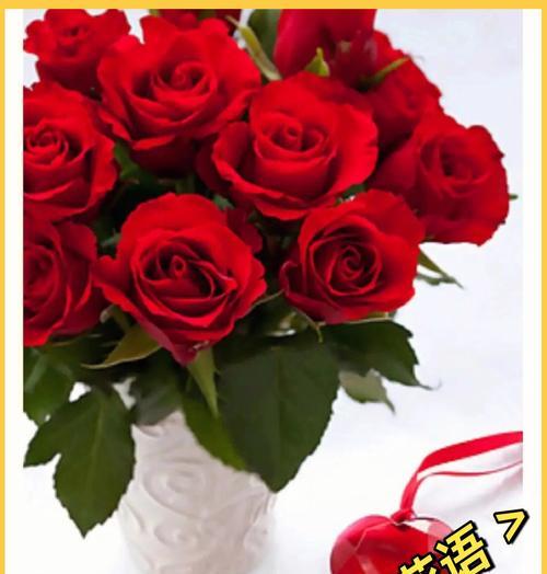 七朵玫瑰花有何特殊含义？玫瑰花语代表什么？
