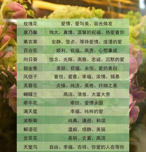 未知的花语是什么？它代表了怎样的情感或信息？