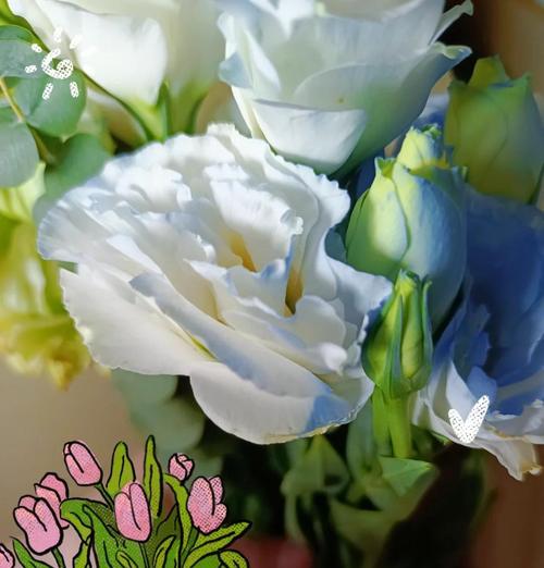 夏日初见鲜花花语是什么？夏季送花有哪些特别的含义？