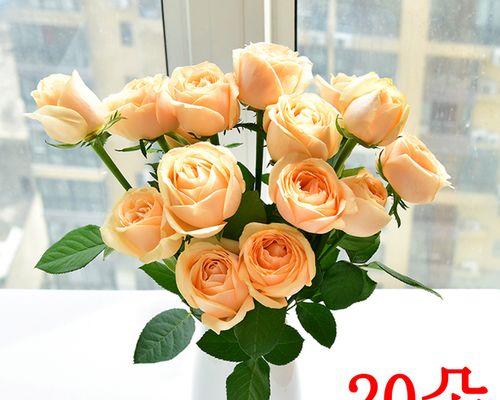 香宾玫瑰花含义是什么？香宾玫瑰在特殊场合的意义？