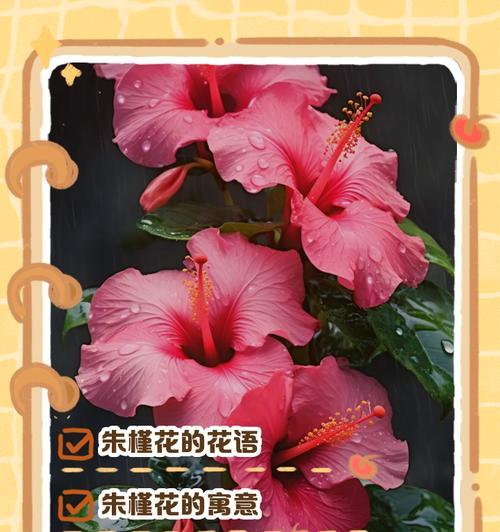 适合作名称的花语是什么意思？适合作名称的花语代表什么？
