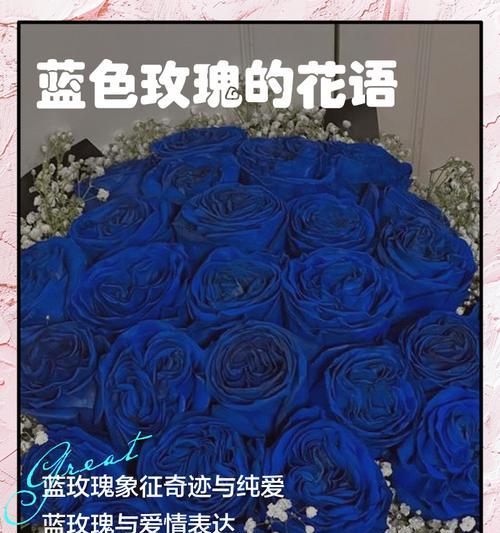 一支玫瑰为何有多种花语？