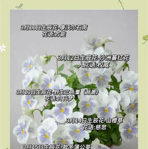 生日测花语有何意义？如何根据生日选择花语？