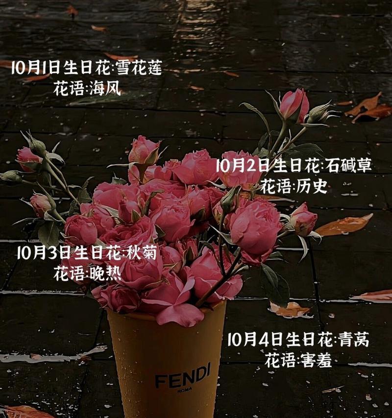 生日测花语有何意义？如何根据生日选择花语？