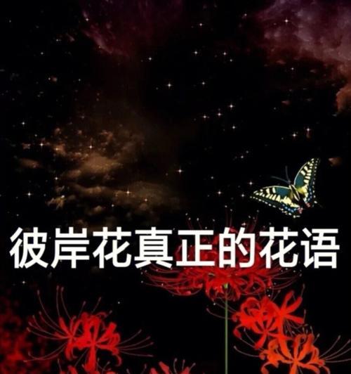 彼岸花的花语含义是什么？你知道吗？