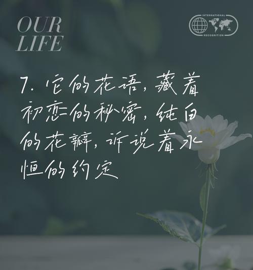 栀子花的花语及其文化内涵是什么？它们有何深意？