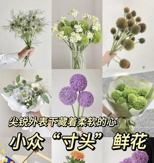 表达对你有点兴趣的花语是什么？它代表什么？
