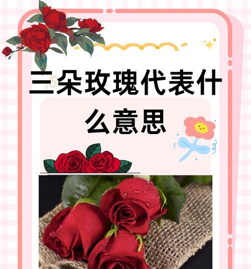 极品玫瑰代表了哪种花语？