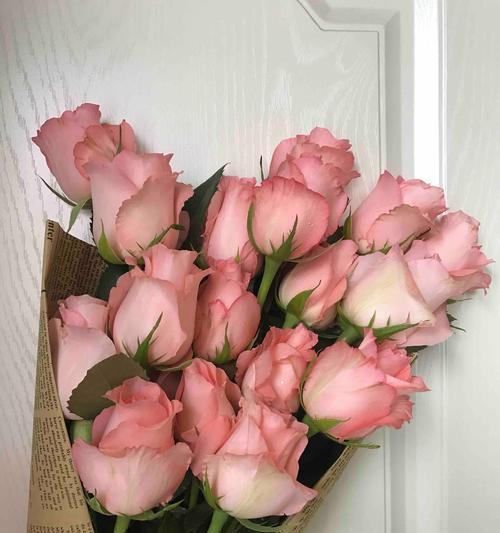 极品玫瑰代表了哪种花语？